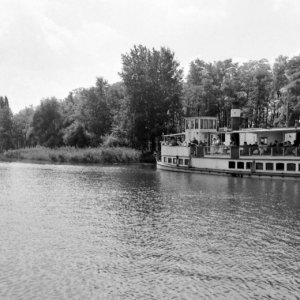 Ráckeve, XXII. csavargőzös a hajóállomáson- 1955 (Forrás: Fortepan)
